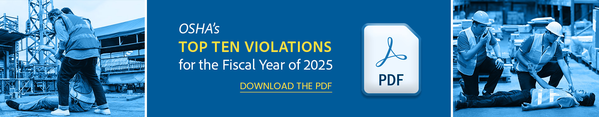 Download PDF